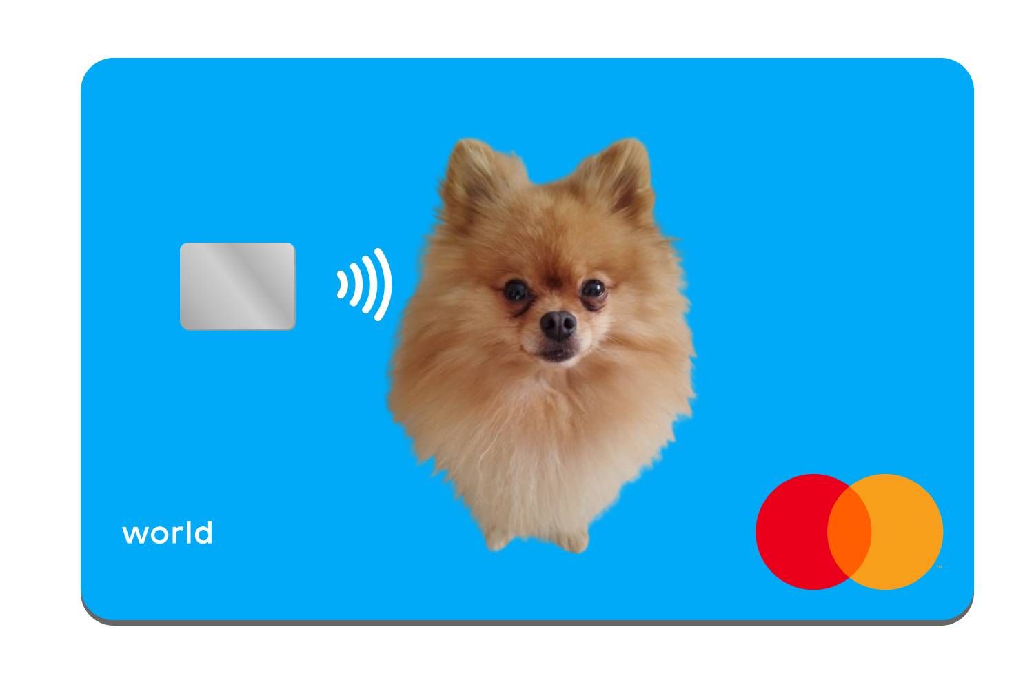 Кредитная карта Банка Тоша